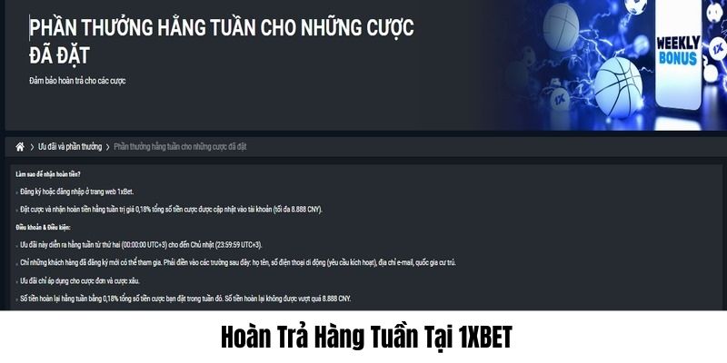 Chương trình điểm cược hoàn trả mỗi tuần